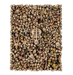 Warhammer Age of Sigmar: Citadel Skulls