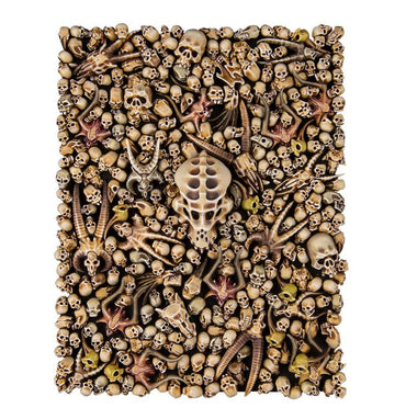 Warhammer Age of Sigmar: Citadel Skulls