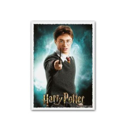Dragon Shield Art Sleeves - WizardingWorld: Harry Potter