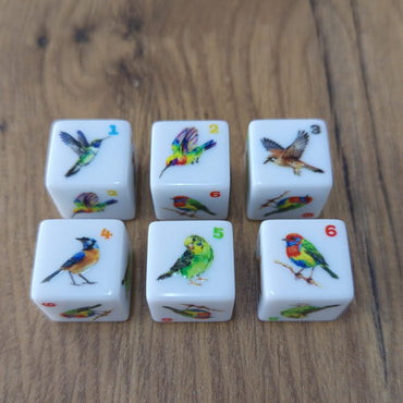 Bird Dice (15mm x15mm)(6pcs)(Rainbow)