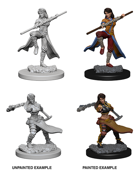D&D Nolzur's Marvelous Miniatures: Human Monk