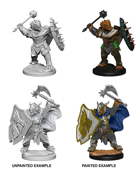 D&D Nolzur's Marvelous Miniatures: Dragonborn Paladin