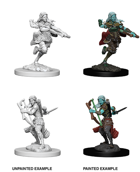 D&D Nolzur's Marvelous Miniatures: Air Genasi Rogue