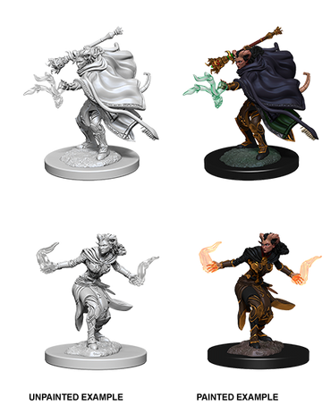 D&D Nolzur's Marvelous Miniatures: Tiefling Warlock