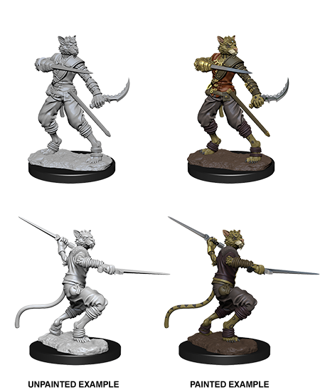 D&D Nolzur's Marvelous Miniatures: Male Tabaxi Rogue