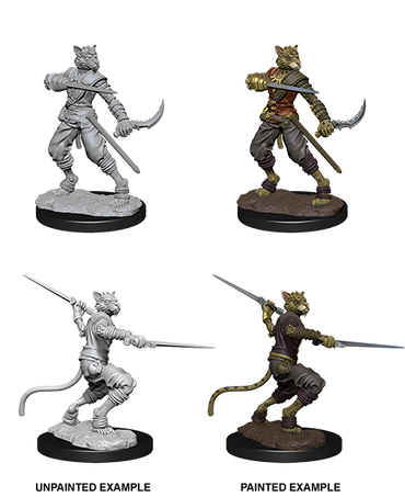 D&D Nolzur's Marvelous Miniatures: Male Tabaxi Rogue