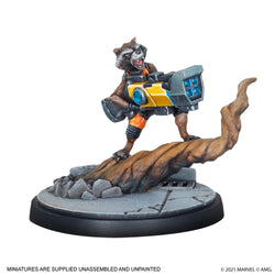 Marvel Crisis Protocol - Rocket & Groot
