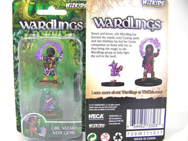 Wardling Painted Miniatures : Girl Wizard & Genie