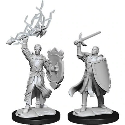 Half-Elf Paladin Dungeons & Dragons Nolzur`s Marvelous Unpainted Miniatures