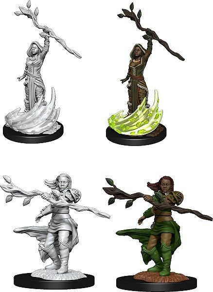Human Druid Dungeons & Dragons Nolzur`s Marvelous Unpainted Miniatures