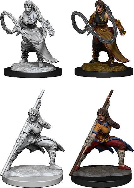 Human Monk Dungeons & Dragons Nolzur`s Marvelous Unpainted Miniatures